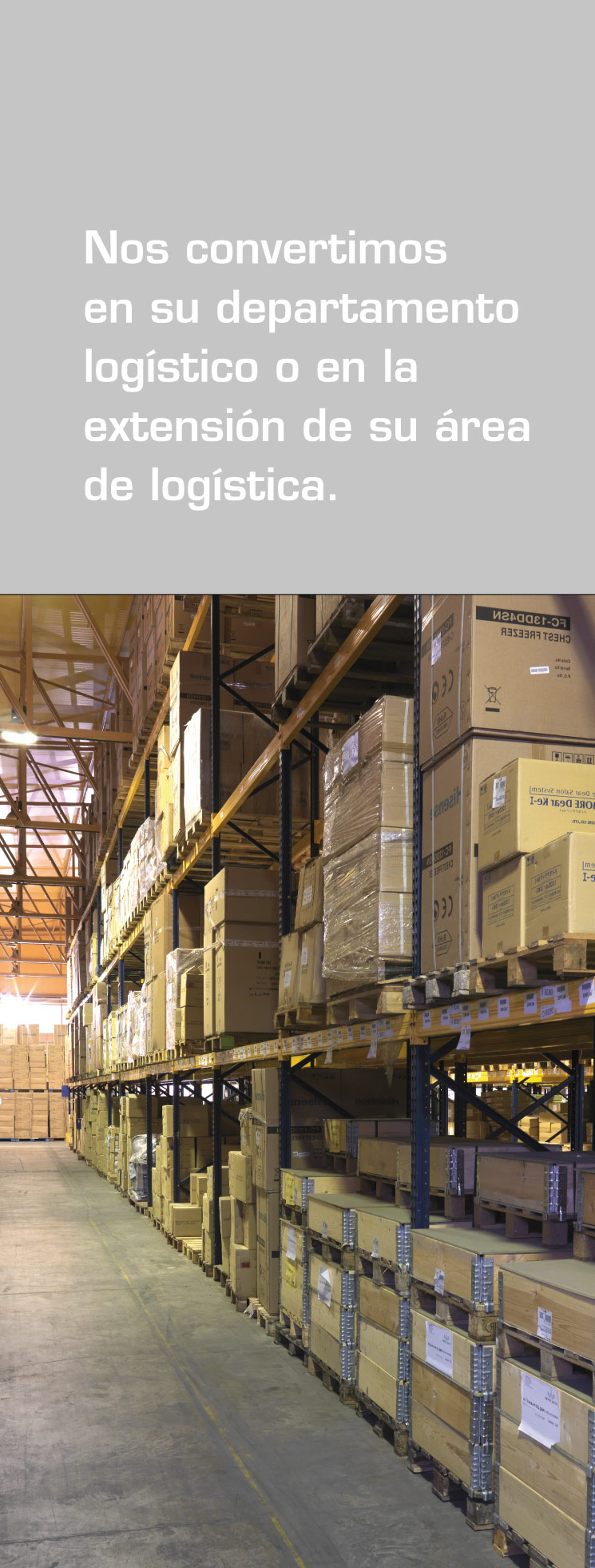 logistica